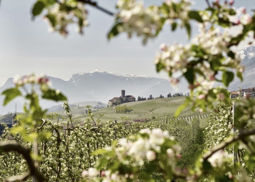 Tradizione, territorio e qualità: la storia di Lucia Maria Melchiori 1 Tradizione, territorio e qualità: la storia di Lucia Maria Melchiori IMG 5630 1