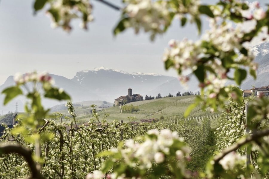 Tradizione, territorio e qualità: la storia di Lucia Maria Melchiori IMG 5630